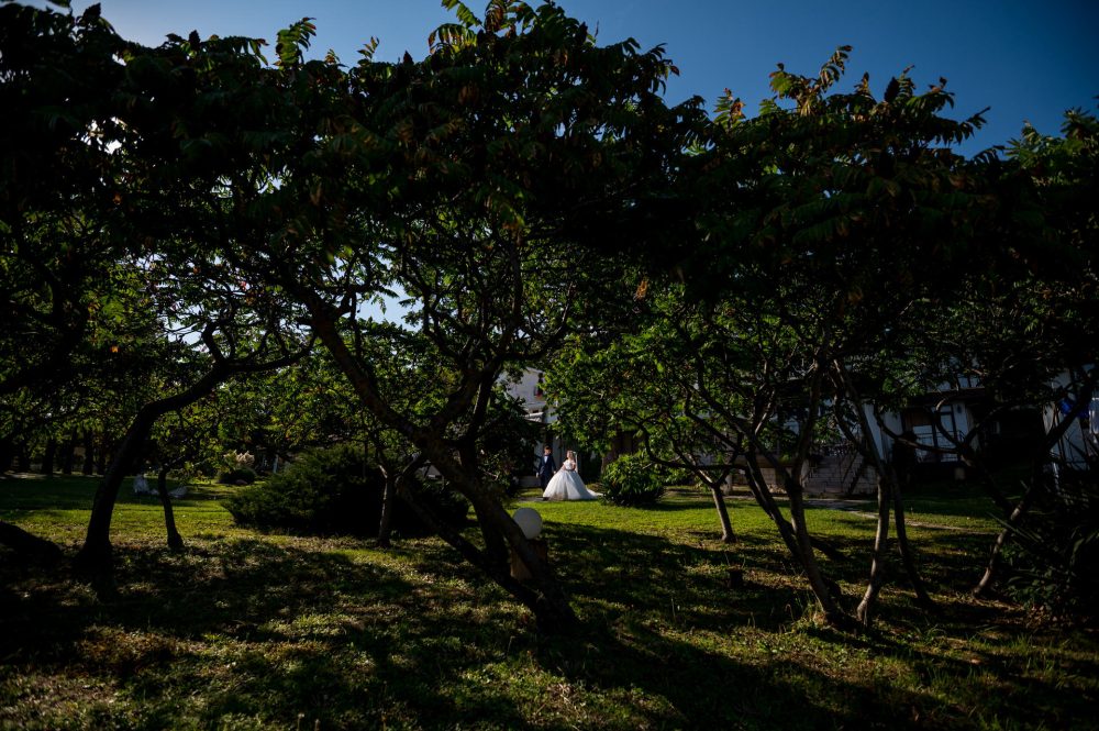 fotograf cameraman profesionist nunta botez eveniment constanta tulcea bucuresti fotografie videografie sedinta foto